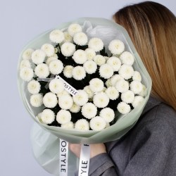 hrizantema kustovaya 2